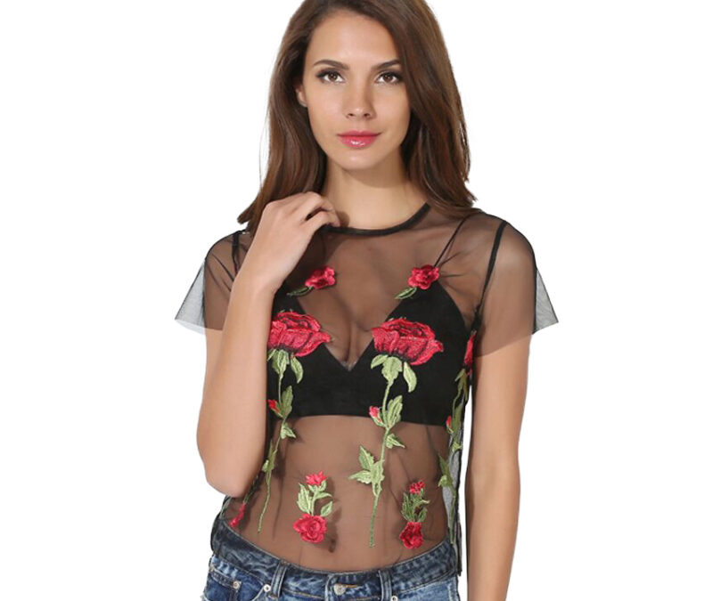 Transparent Rose Embroidery Top