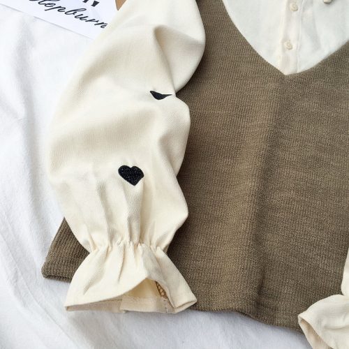 Heart embroidery long sleeve shirt